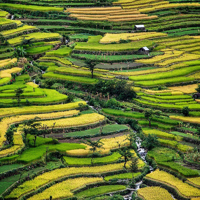 ©Matt Dayka - Nagaland, India