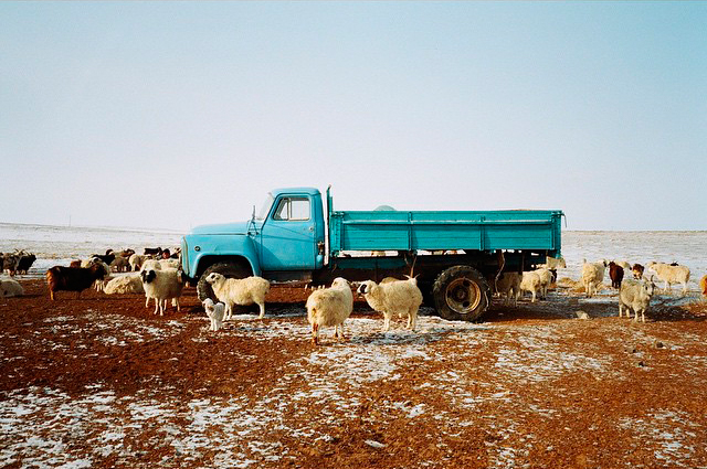 ©Simon Weller - Gobi Desert