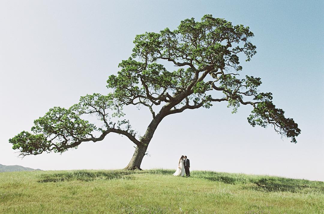 A refuge of shade on a warm California day. Photo by Grace Kathryn