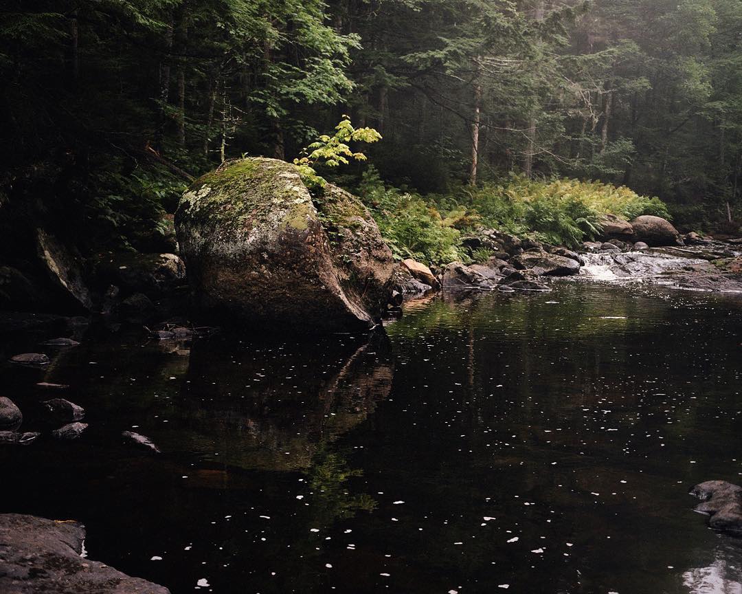 Field guide: Penobscot bay Ducktrap river. Photo by Jonathan Levitt