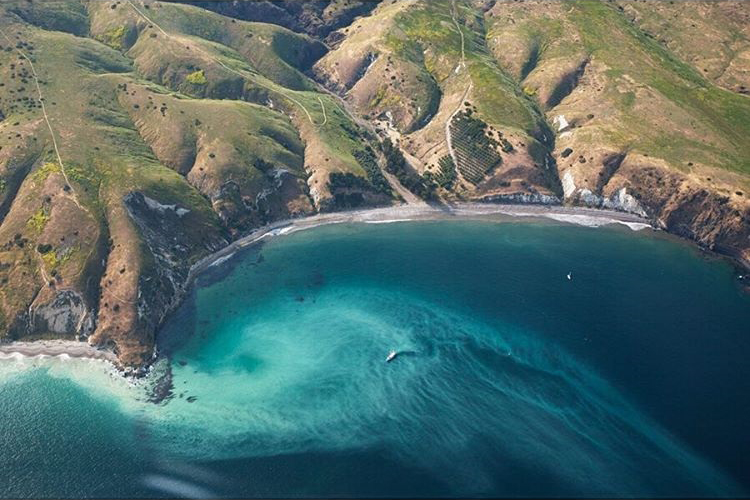 Aerial Coastal View - Photo by Erin Feinblatt