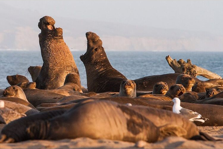 Año Nuevo - Photo by Erin Feinblatt