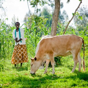 ©Matt Dayka - Webuye, Kenya