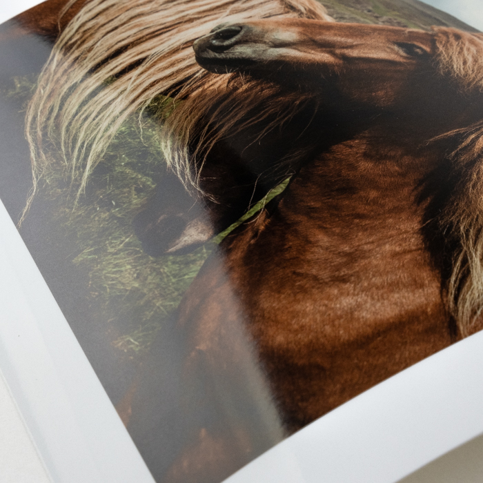 Choosing The Right Fine Art Paper For Your Print - Fine Art Printing