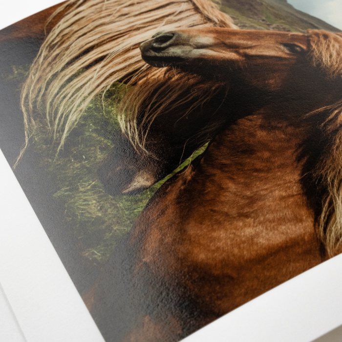 Detail View of Standard Fine Art Paper  - Hahnemühle 315 Baryta Photo Rag Glossy